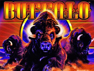 Buffalo